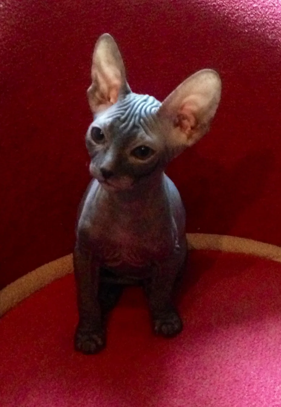 Такие не опаздывают, такие задерживаются.jpg