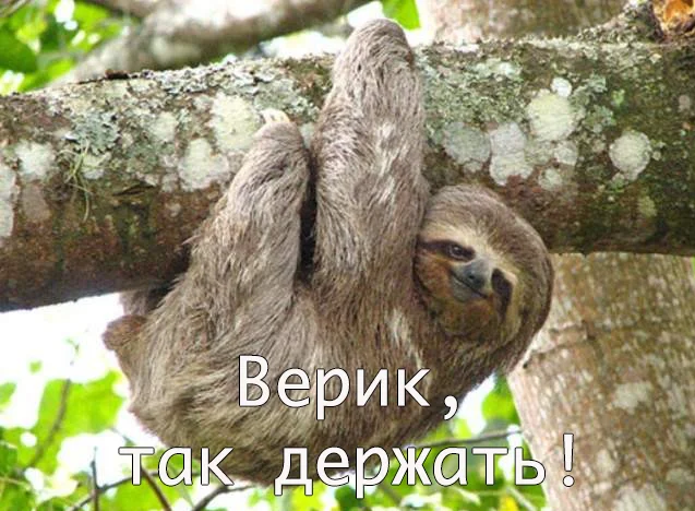 taknado.webp