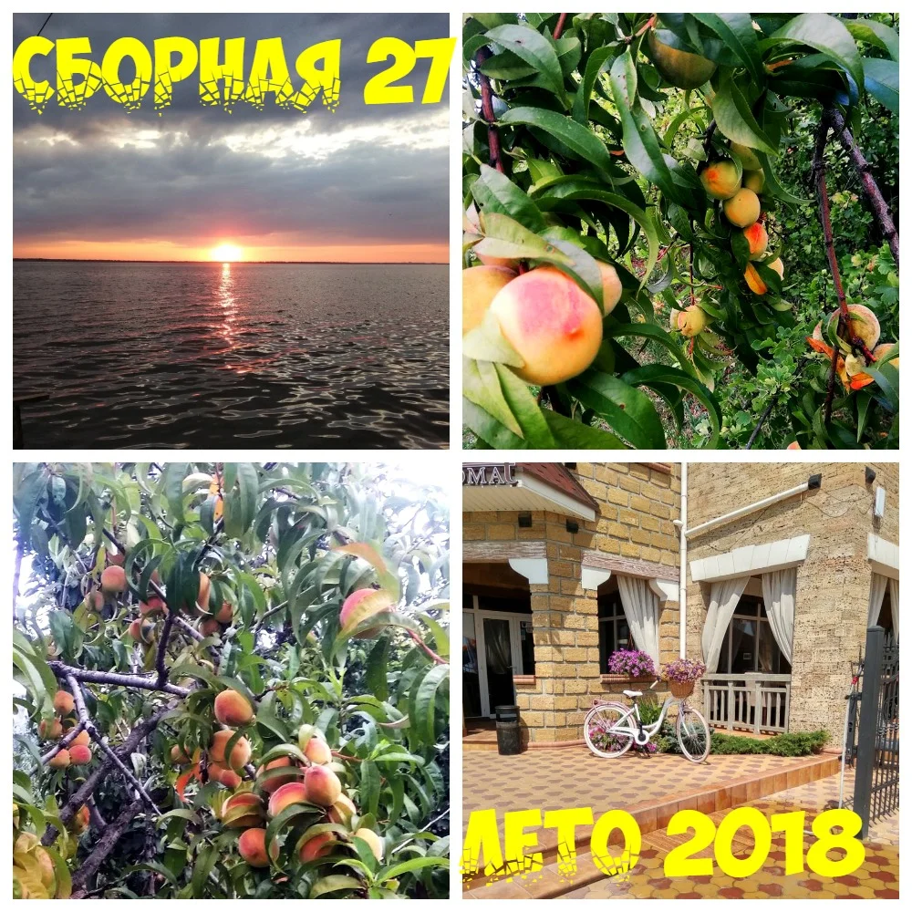 Танчик4 коллаж.webp