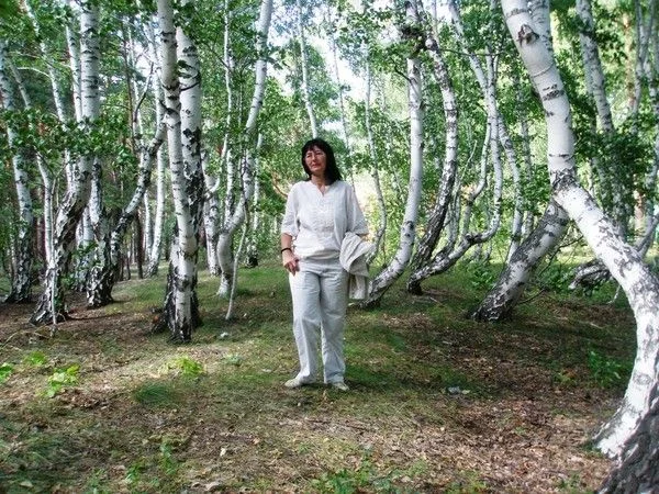 танцующие берёзы -.webp