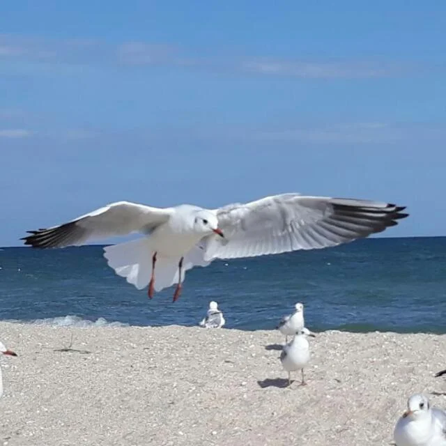 Таня Бердянск 20171005_161907.webp