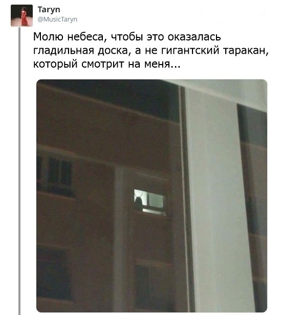 таракан-песочница-4830294.jpeg