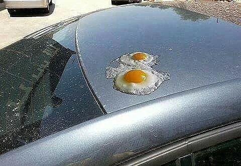 Ташкент Лето  Утро_image.webp