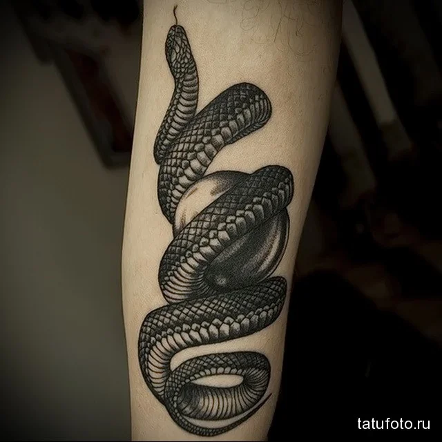 тату-змея-для-девушек-вариант-на-руку.webp