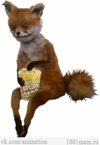 taxidermia-lisa-popkorn-gifki-474106.gif
