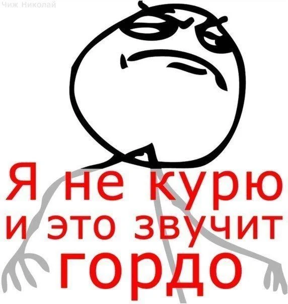tckll7GNp-I.webp
