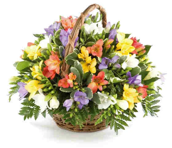 TD-04 Fragrant Glow.webp