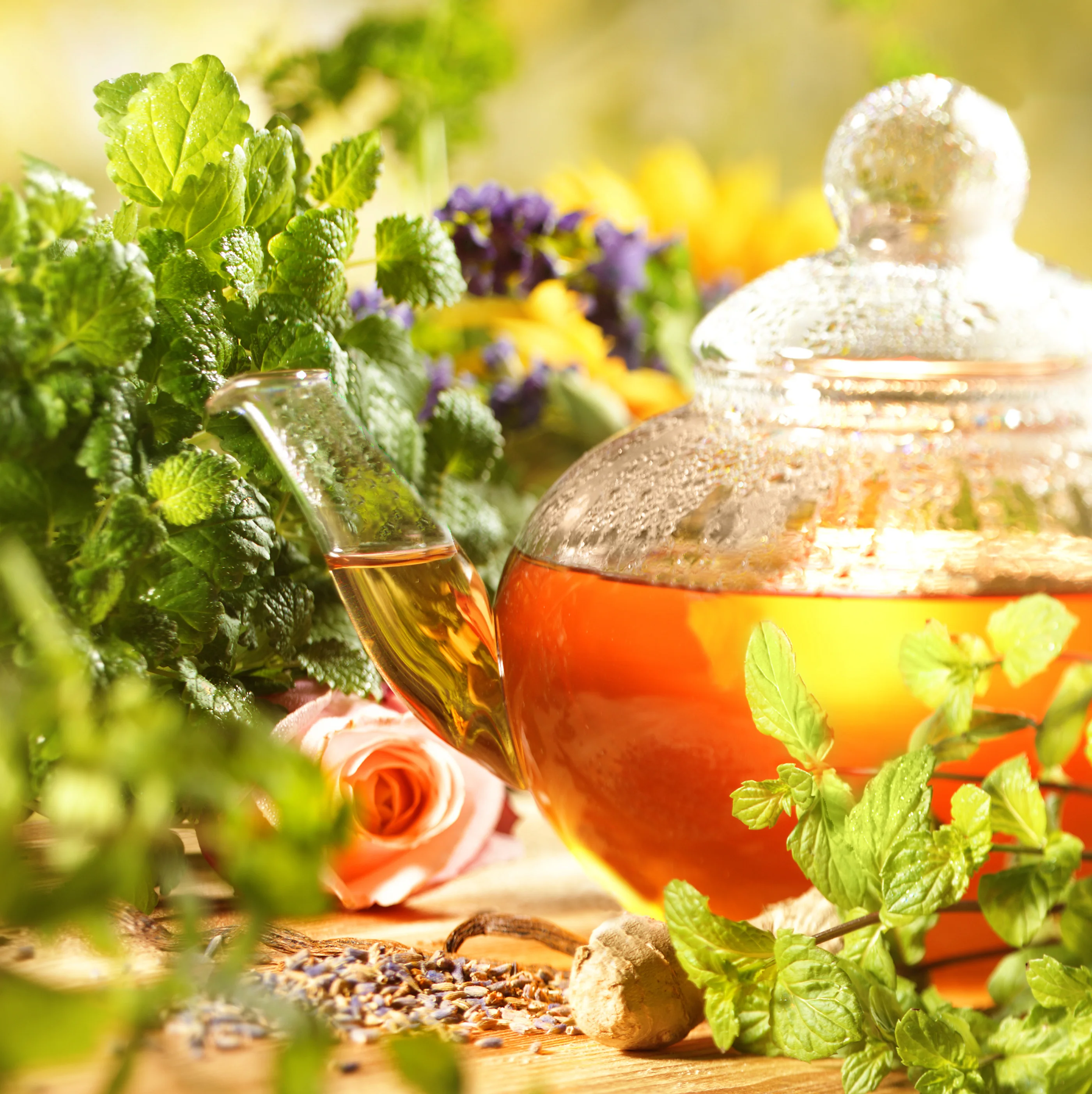 teapot-in-garden.webp