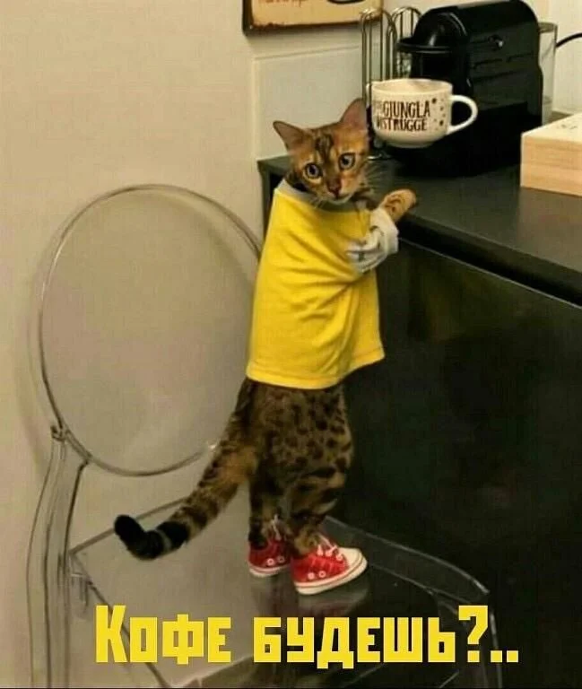 ТЕБЕ ОТКРЫТОЧКА!!!!!.webp