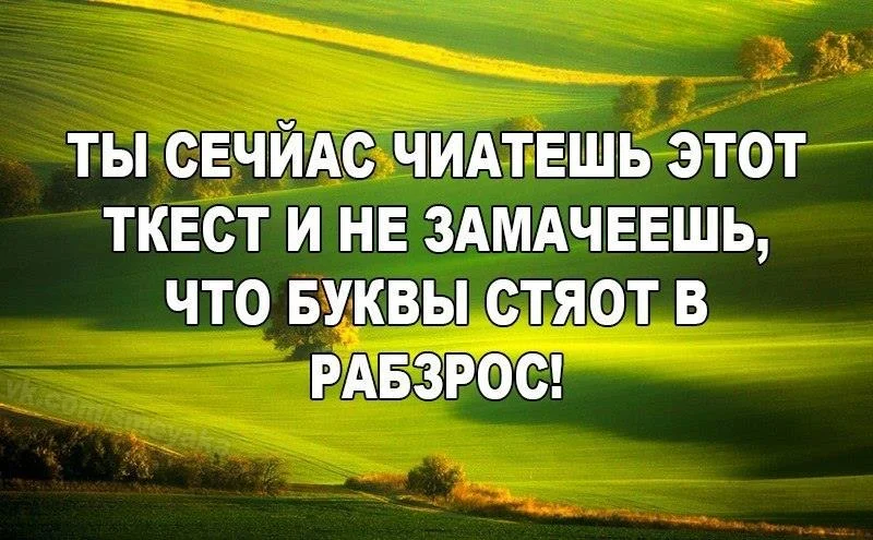 текст прикол.webp