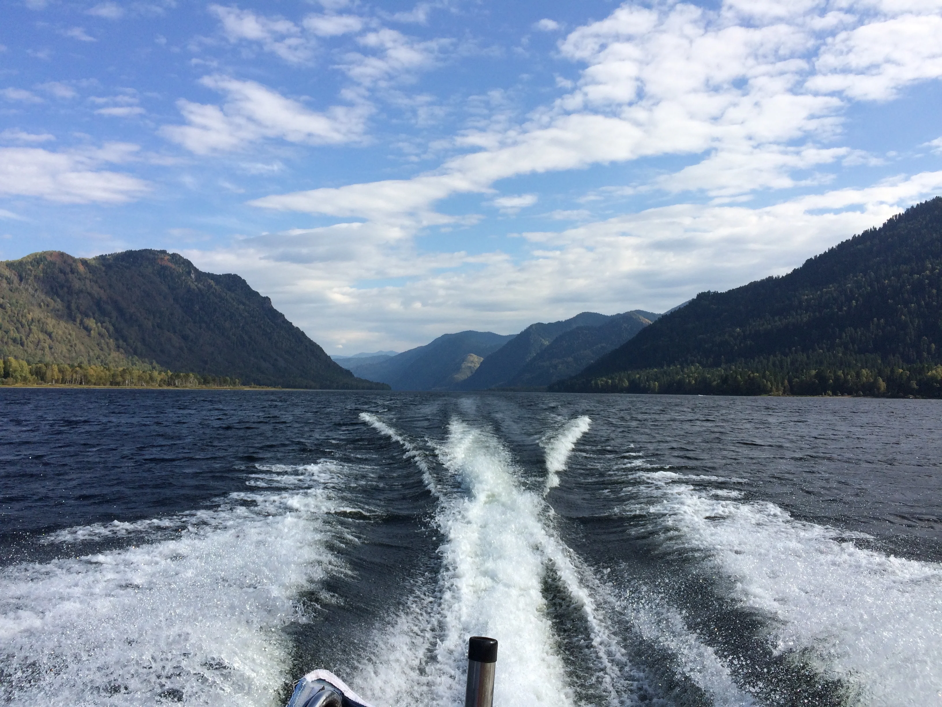 телецкое озеро.webp