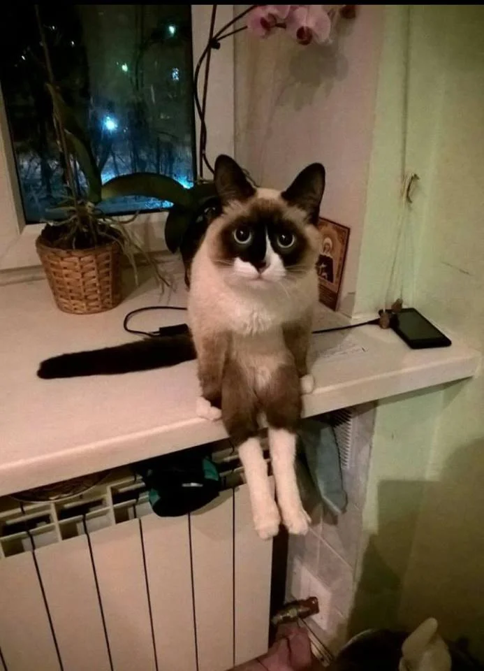 телефон сдох.webp