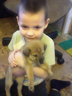 телефончик 364.webp