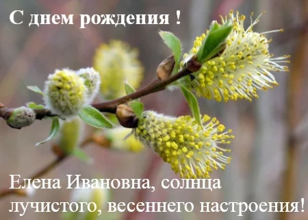 telerik_edited_image(1)(21).webp