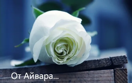 telerik_edited_image(67).webp