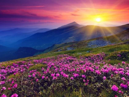 telerik_edited_image(72).webp