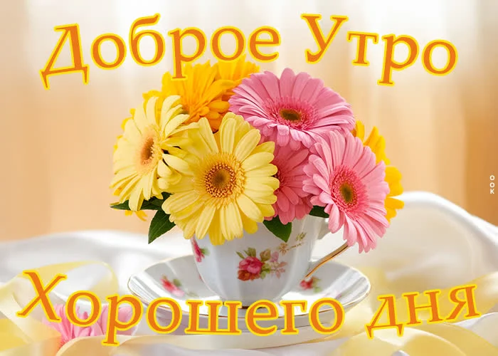 teploserdecnaya-otkrytka-zelaet-dobrogo-utra-i-cudesnogo-dnya-37567.webp