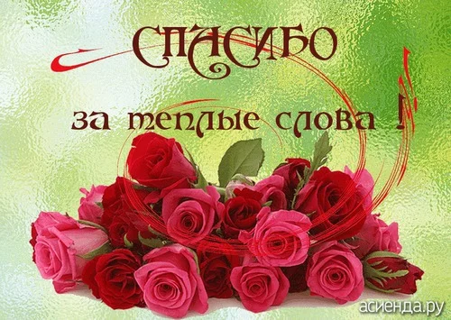 теплые слова.webp