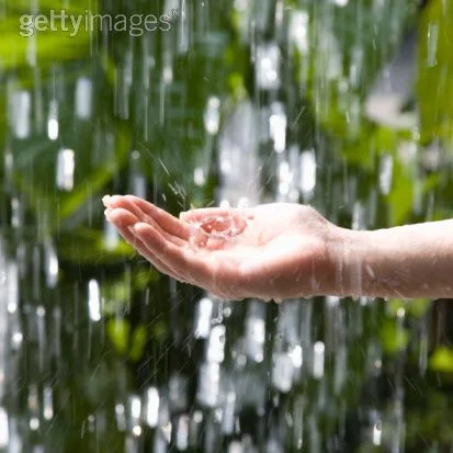 теплый дождь.webp