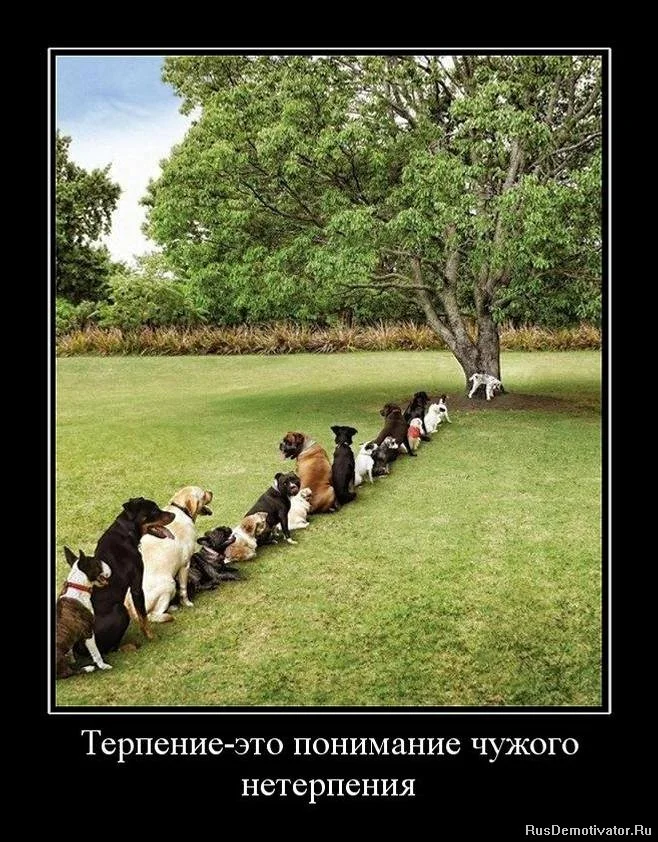 терпение.webp