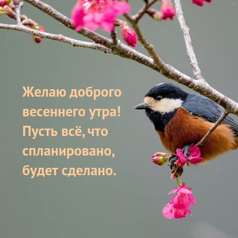 textopics_ru_30545.webp