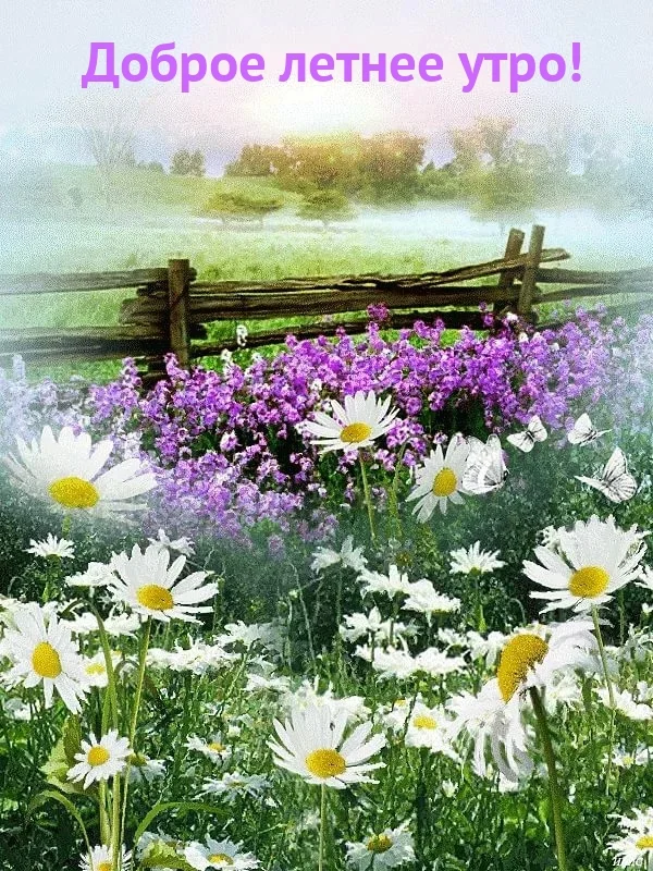 textopics_ru_31037 (1).webp