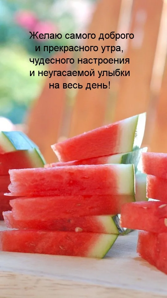 textopics_ru_31373.webp