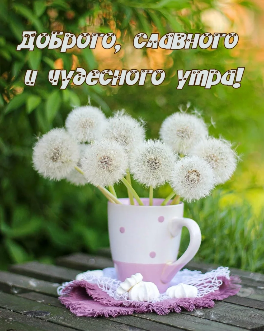 textopics_ru_31578.webp