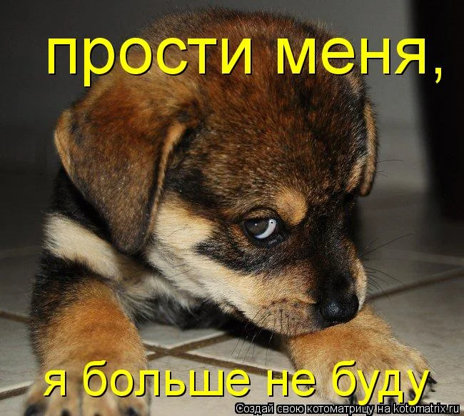 tf.webp