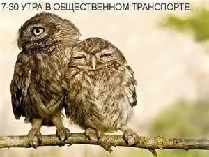 th-109.webp