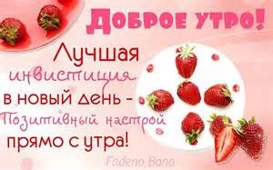 th-115.webp