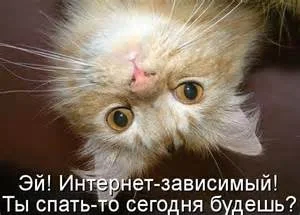 th-126.webp