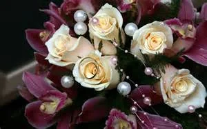 th-29.webp
