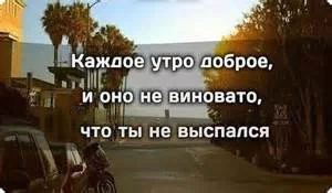 th-65.webp