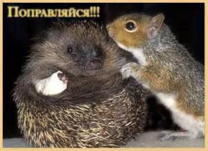 th-74.webp