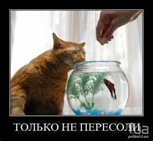 th-79.webp