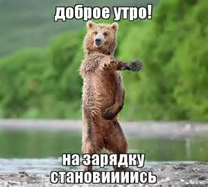 th-9.webp
