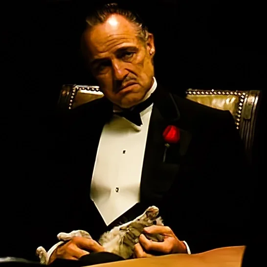 the-godfather-marlon-brando.webp