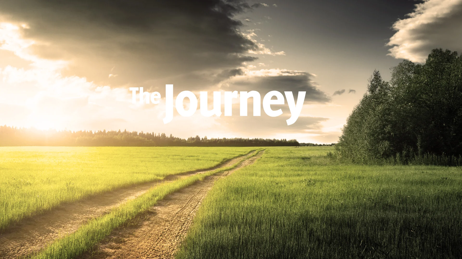 the-journey.webp