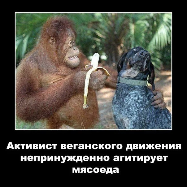 Tie_glNuLkQ.webp