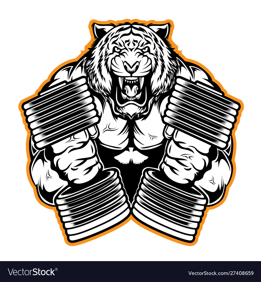 tiger-muscle-dumbbell-gym-strong-vector-27408659.jpg