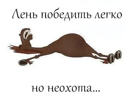 tINLc0XvEag.webp