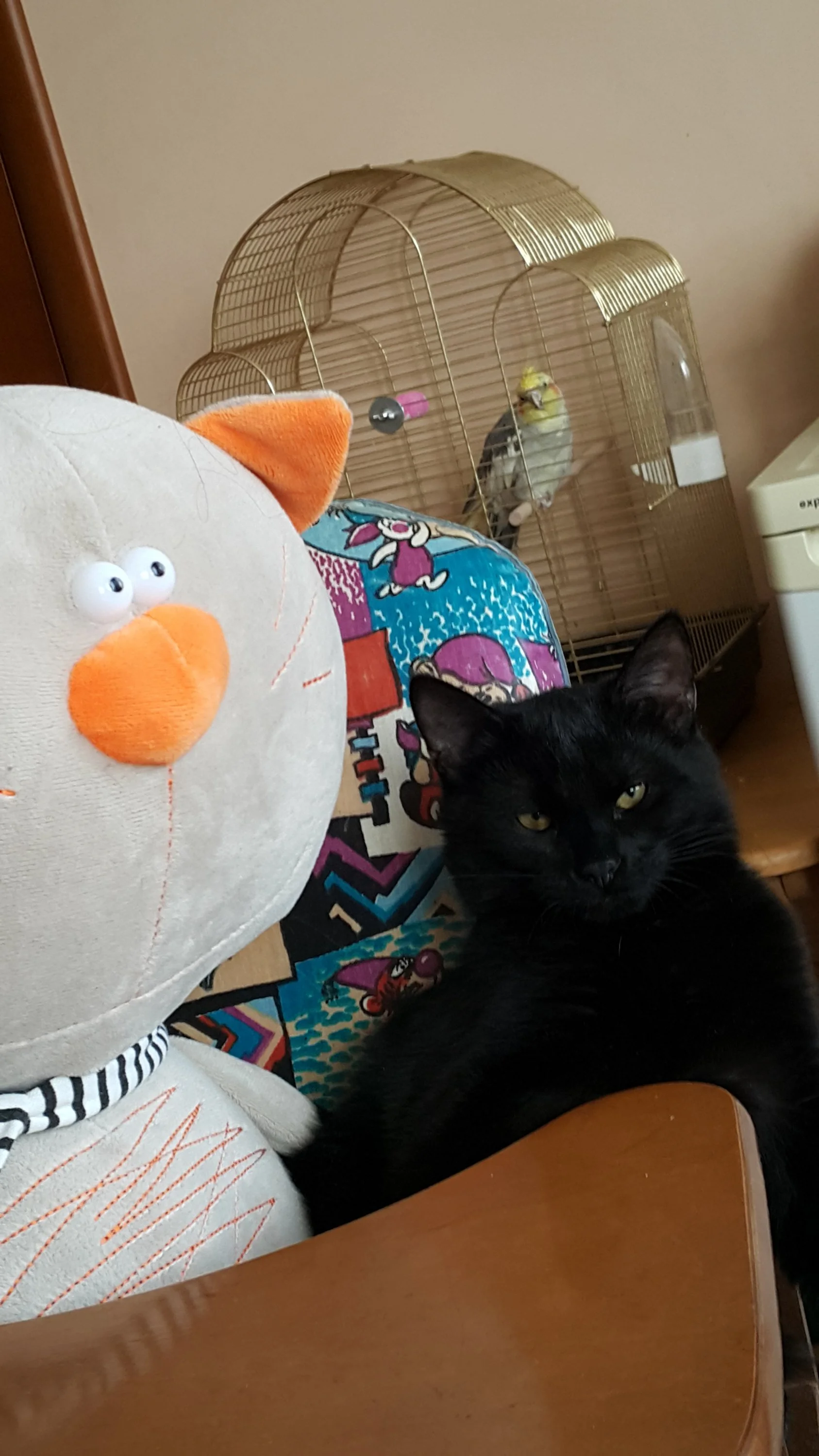 Тиша и Батон.webp