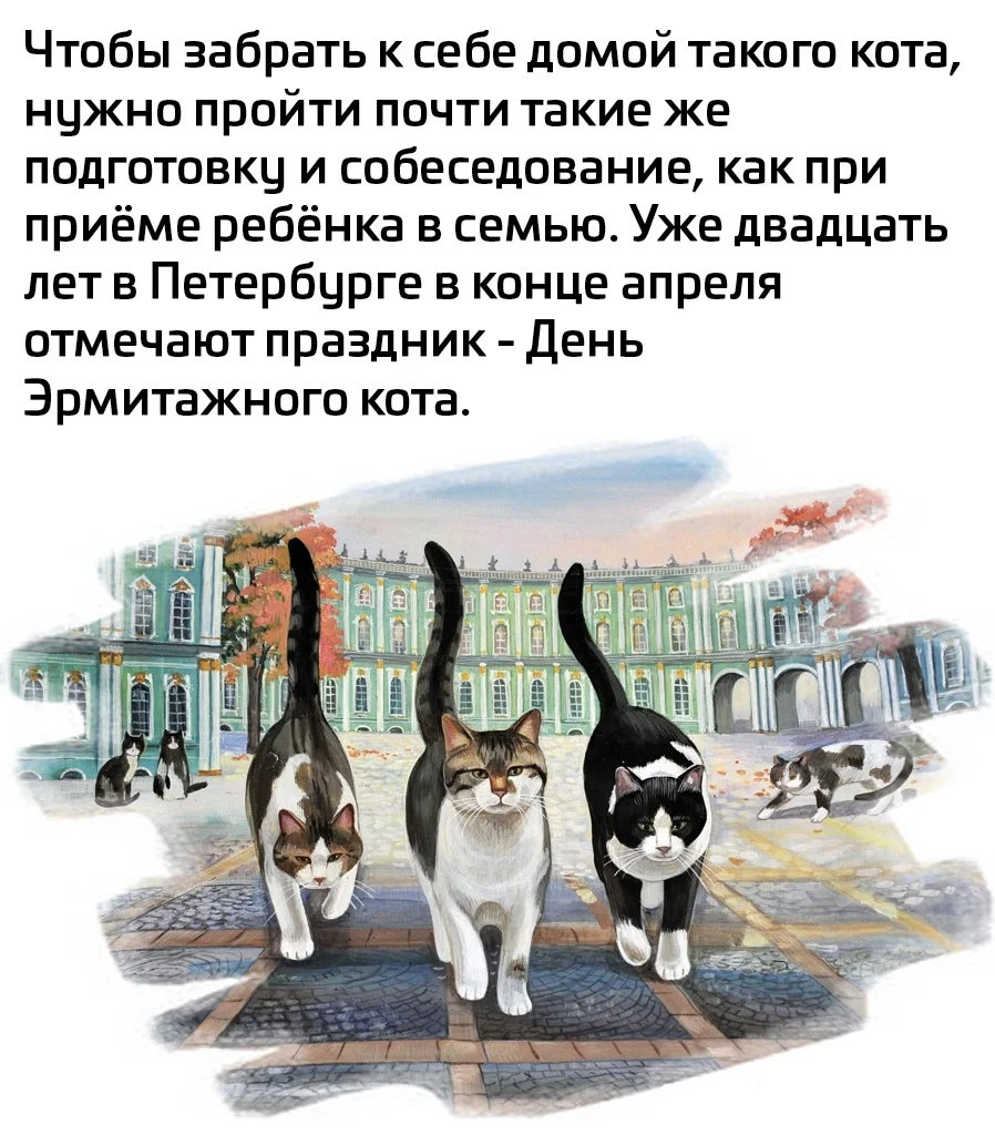 tISJsIptB1g.webp