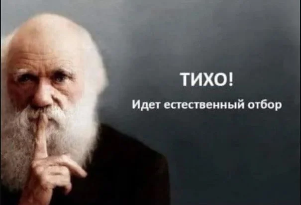 тихо1.jpg