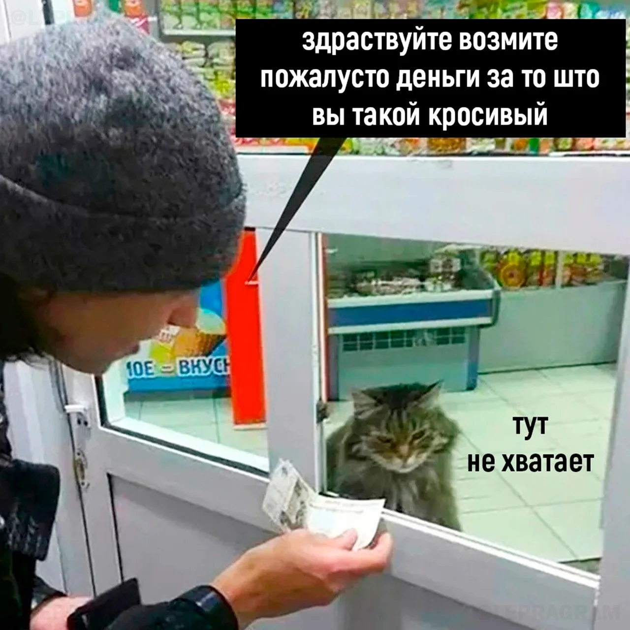 tJsyTi4nTrA.webp