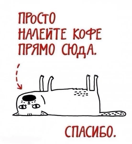 TjuQA88NYRA.webp