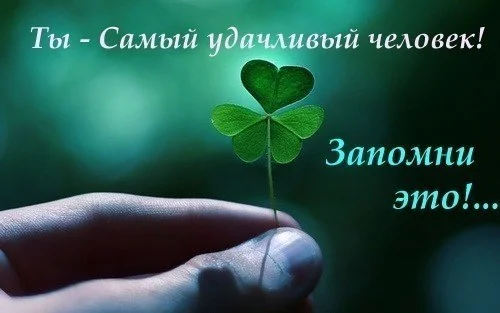tKasmLQw31M.webp