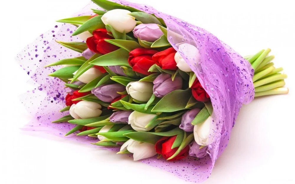 тлп 1000 цв.webp