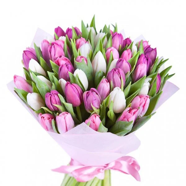ТЛП 600 бк.webp
